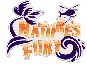 res Fury Logo SM